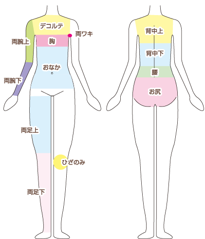 部位全身